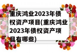 重庆鸿业2023年债权资产项目(重庆鸿业2023年债权资产项目有哪些)