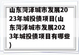 山东菏泽城市发展2023年城投债项目(山东菏泽城市发展2023年城投债项目有哪些)