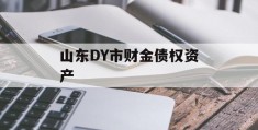 山东DY市财金债权资产