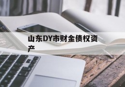 山东DY市财金债权资产