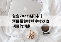 包含2023洛阳市瀍河区帽郭村城中村改造项目的词条