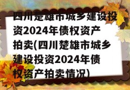 四川楚雄市城乡建设投资2024年债权资产拍卖(四川楚雄市城乡建设投资2024年债权资产拍卖情况)