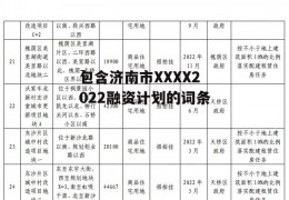 包含济南市XXXX2022融资计划的词条