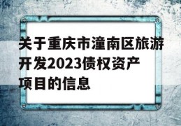 关于重庆市潼南区旅游开发2023债权资产项目的信息