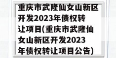 重庆市武隆仙女山新区开发2023年债权转让项目(重庆市武隆仙女山新区开发2023年债权转让项目公告)