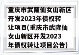 重庆市武隆仙女山新区开发2023年债权转让项目(重庆市武隆仙女山新区开发2023年债权转让项目公告)