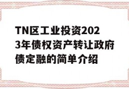 TN区工业投资2023年债权资产转让政府债定融的简单介绍