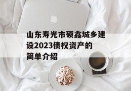 山东寿光市硕鑫城乡建设2023债权资产的简单介绍