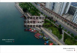 关于湖北老河口市建设投资经营--xx产业园项目定向融资产品的信息