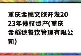 重庆金穗文旅开发2023年债权资产(重庆金稻穗餐饮管理有限公司)