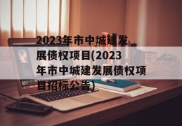 2023年市中城建发展债权项目(2023年市中城建发展债权项目招标公告)