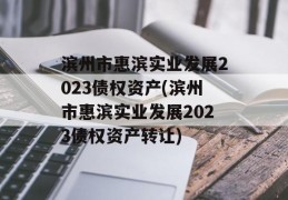 滨州市惠滨实业发展2023债权资产(滨州市惠滨实业发展2023债权资产转让)