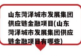 山东菏泽城市发展集团供应链金融项目(山东菏泽城市发展集团供应链金融项目有哪些)