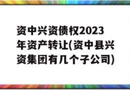 资中兴资债权2023年资产转让(资中县兴资集团有几个子公司)