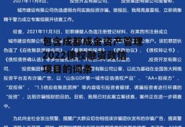 包含成都成金资产管理2022债权融资政信项目的词条