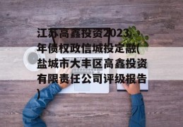 江苏高鑫投资2023年债权政信城投定融(盐城市大丰区高鑫投资有限责任公司评级报告)