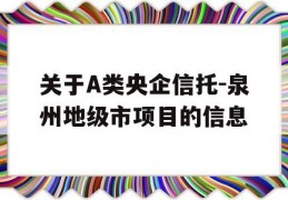 关于A类央企信托-泉州地级市项目的信息