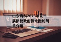 山东海科2023年发展债权政府债定融的简单介绍