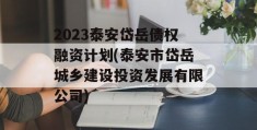 2023泰安岱岳债权融资计划(泰安市岱岳城乡建设投资发展有限公司)