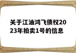 关于江油鸿飞债权2023年拍卖1号的信息