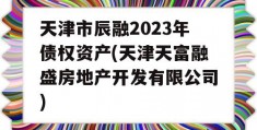 天津市辰融2023年债权资产(天津天富融盛房地产开发有限公司)