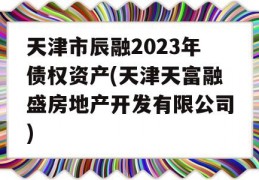 天津市辰融2023年债权资产(天津天富融盛房地产开发有限公司)