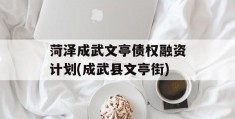 菏泽成武文亭债权融资计划(成武县文亭街)