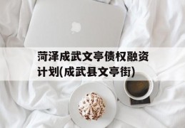 菏泽成武文亭债权融资计划(成武县文亭街)