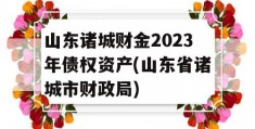 山东诸城财金2023年债权资产(山东省诸城市财政局)