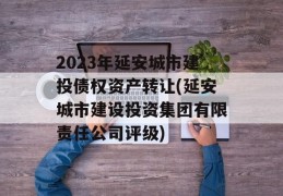 2023年延安城市建投债权资产转让(延安城市建设投资集团有限责任公司评级)