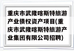 重庆市武隆喀斯特旅游产业债权资产项目(重庆市武隆喀斯特旅游产业集团有限公司招聘)