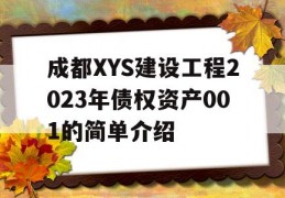 成都XYS建设工程2023年债权资产001的简单介绍