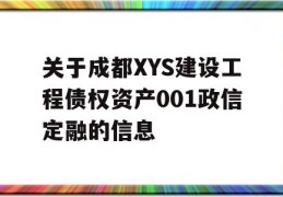 关于成都XYS建设工程债权资产001政信定融的信息