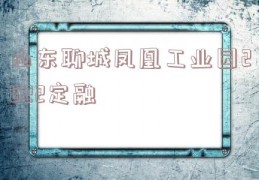 山东聊城凤凰工业园2022定融