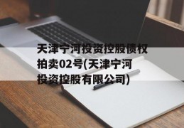 天津宁河投资控股债权拍卖02号(天津宁河投资控股有限公司)