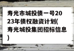 寿光市城投债一号2023年债权融资计划(寿光城投集团招标信息)