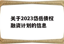 关于2023岱岳债权融资计划的信息