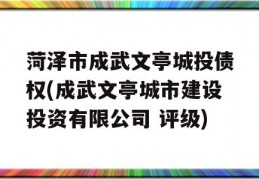 菏泽市成武文亭城投债权(成武文亭城市建设投资有限公司 评级)