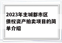 2023年主城都市区债权资产拍卖项目的简单介绍