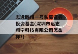 志远腾翔一号私募证券投资基金(深圳市远志翔宁科技有限公司怎么样?)