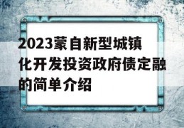 2023蒙自新型城镇化开发投资政府债定融的简单介绍