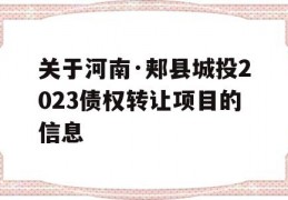 关于河南·郏县城投2023债权转让项目的信息