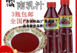 广东调味品(广东调味品有哪些品牌)