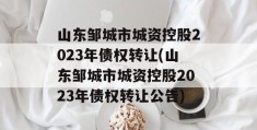 山东邹城市城资控股2023年债权转让(山东邹城市城资控股2023年债权转让公告)