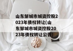 山东邹城市城资控股2023年债权转让(山东邹城市城资控股2023年债权转让公告)