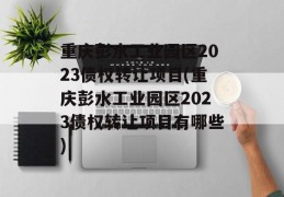 重庆彭水工业园区2023债权转让项目(重庆彭水工业园区2023债权转让项目有哪些)