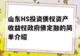 山东HS投资债权资产收益权政府债定融的简单介绍