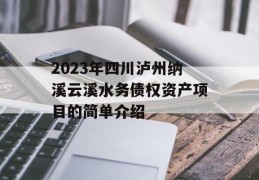 2023年四川泸州纳溪云溪水务债权资产项目的简单介绍