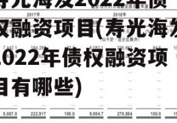 寿光海发2022年债权融资项目(寿光海发2022年债权融资项目有哪些)