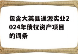 包含大英县通源实业2024年债权资产项目的词条